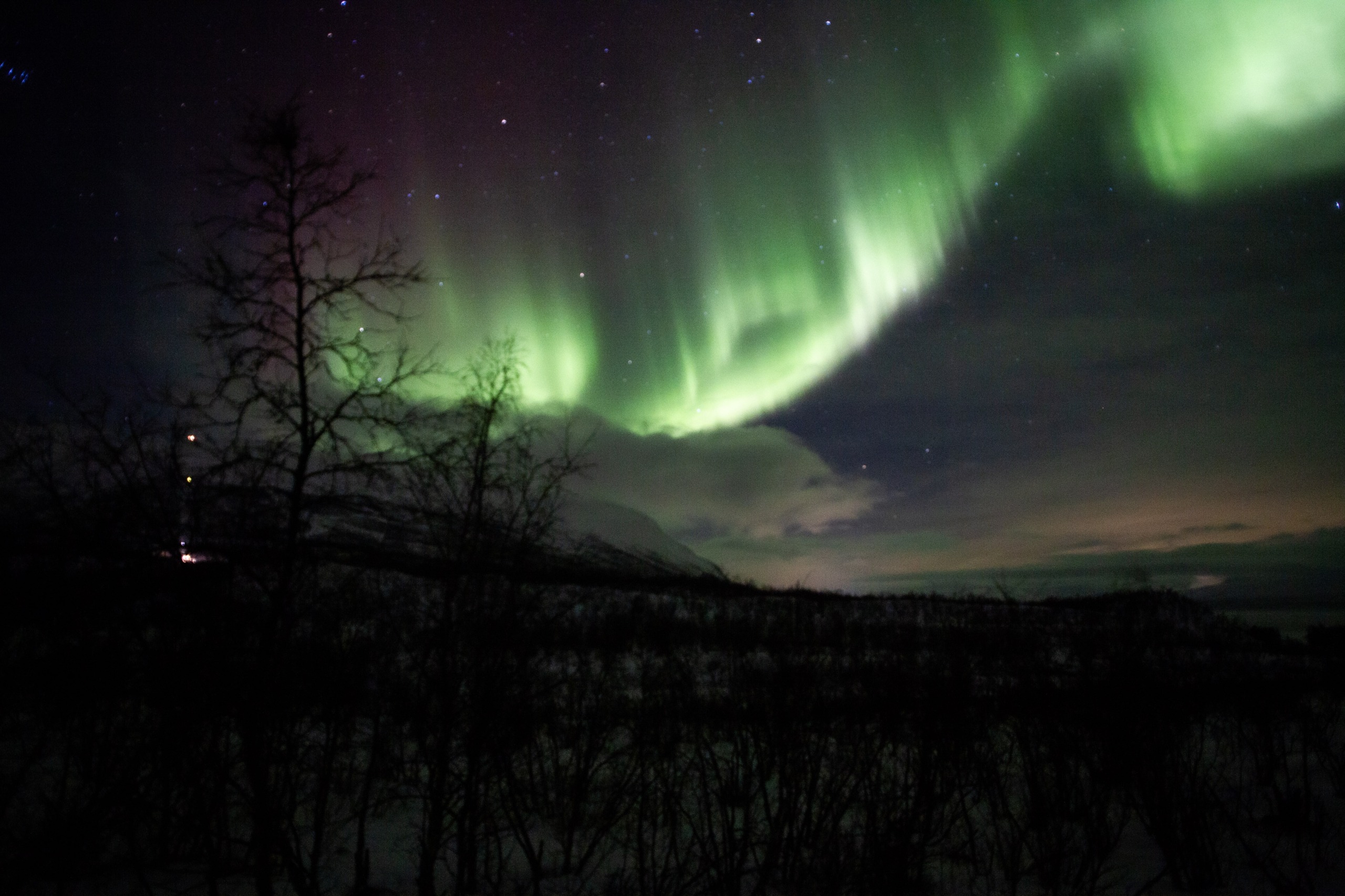 Aurores boréales – Abisko (Laponie Suédoise) – ©Maël Kerviche